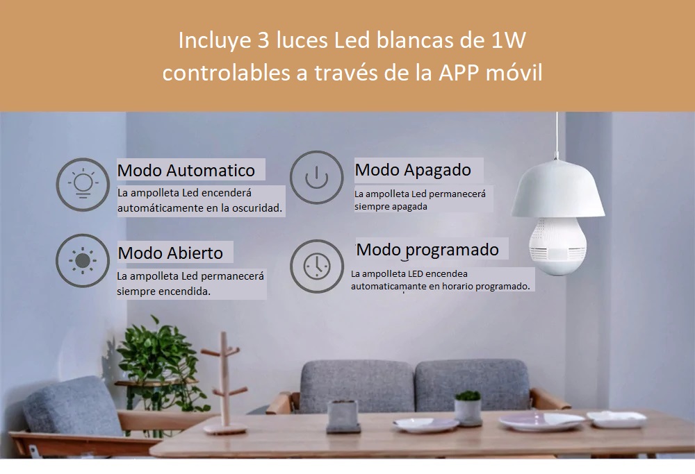 Imagen descriptiva del producto