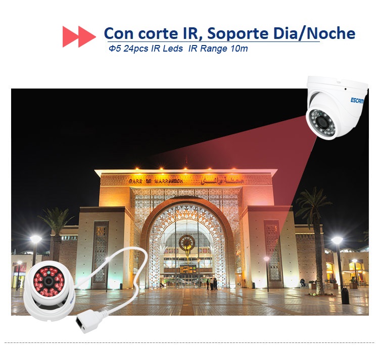 Imagen descriptiva del producto